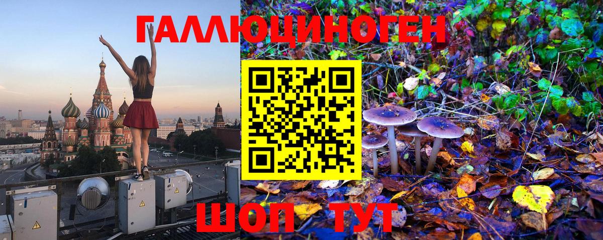 Кондопога  Псилоцибиновые грибы Psilocybe  что такое наркотик  Вход с VPN 