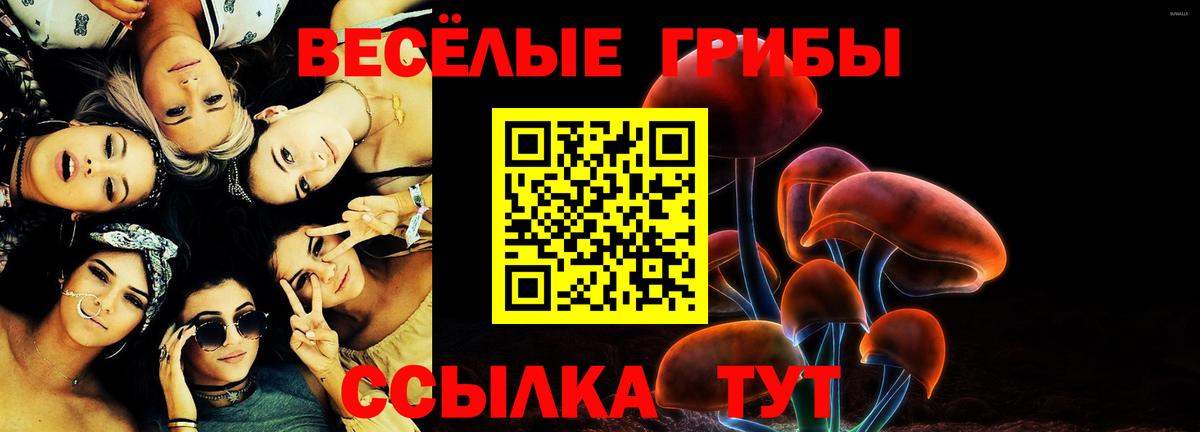 Псилоцибиновые грибы мухоморы Кондопога
